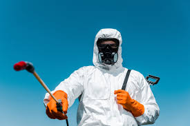 Emergency Pest Control in Adamstown, PA